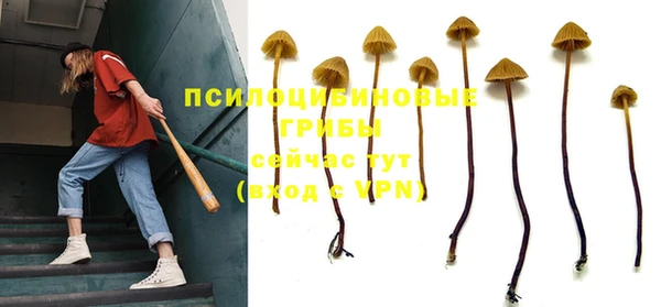 альфа пвп Каменск-Шахтинский