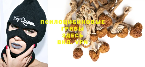 альфа пвп Каменск-Шахтинский